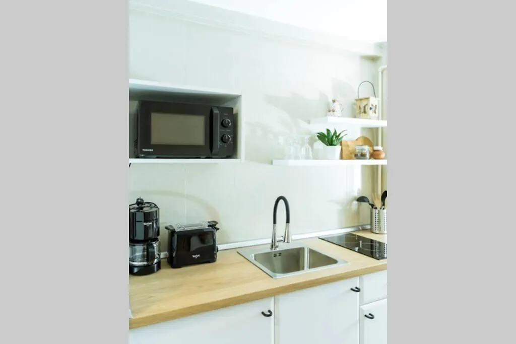 Apartment Studio With Private Terrace Next To Cismigiu Bucharest